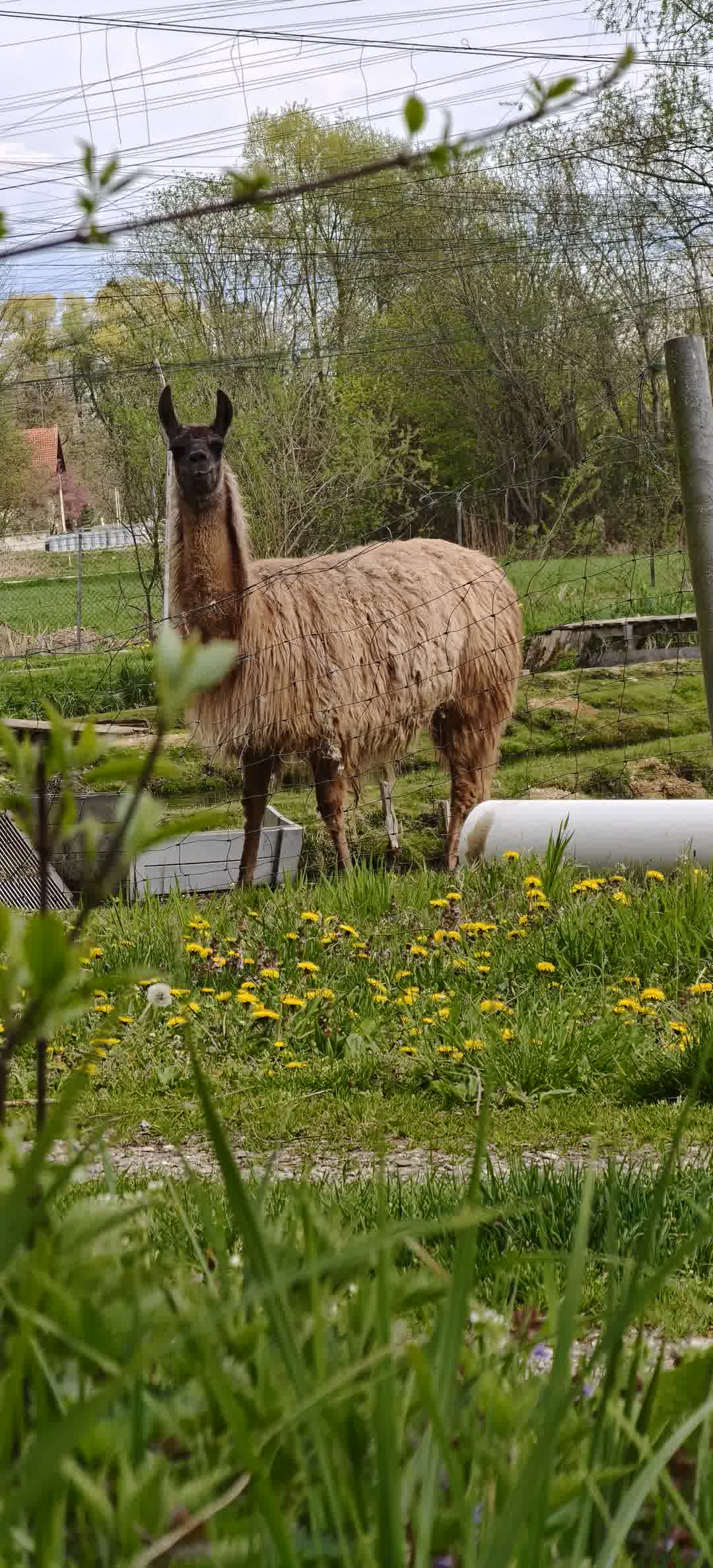 Kajak Foto