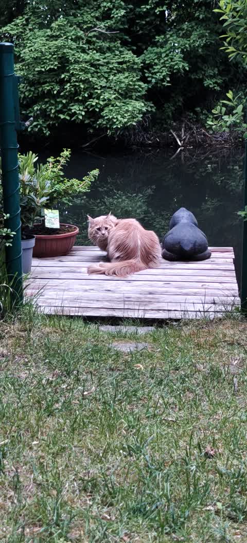 Kajak Foto