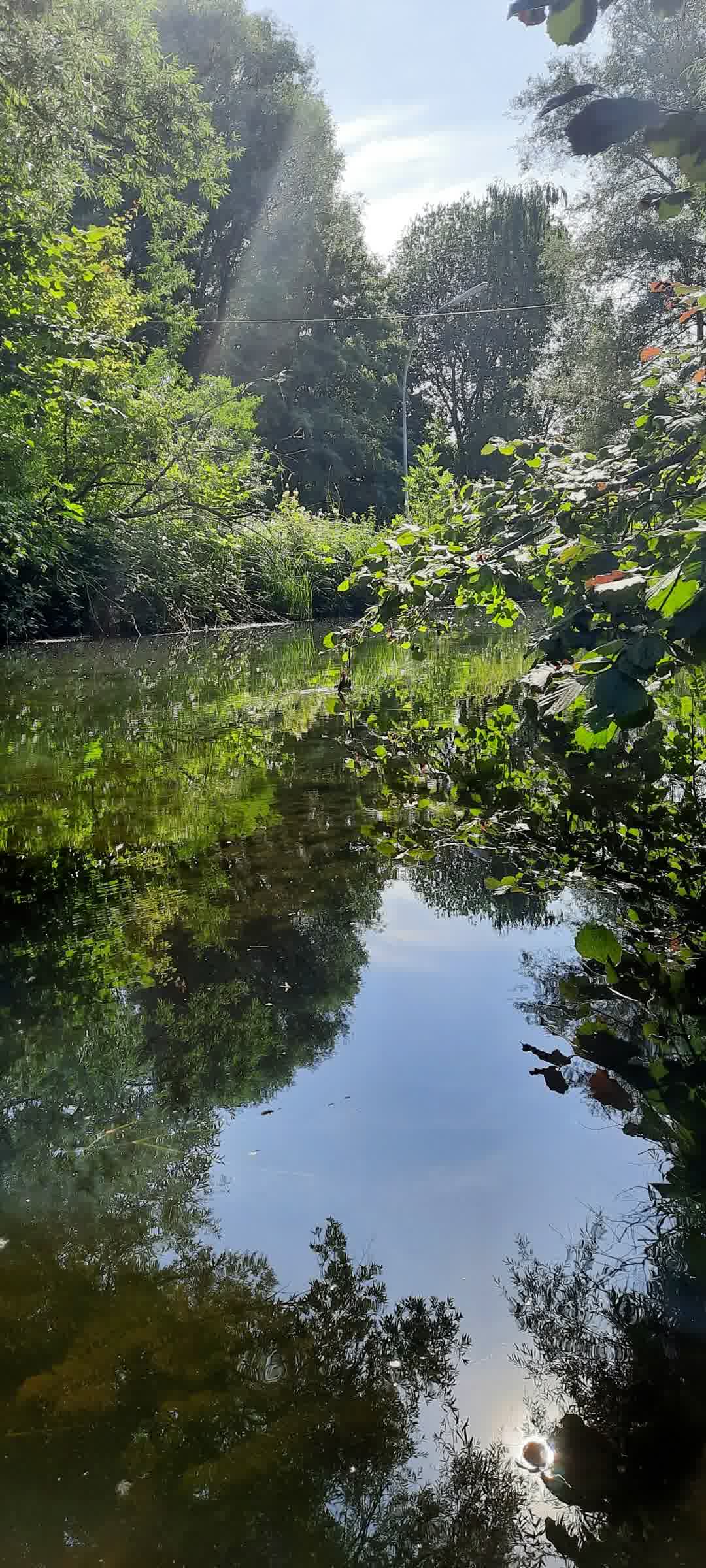 Kajak Foto
