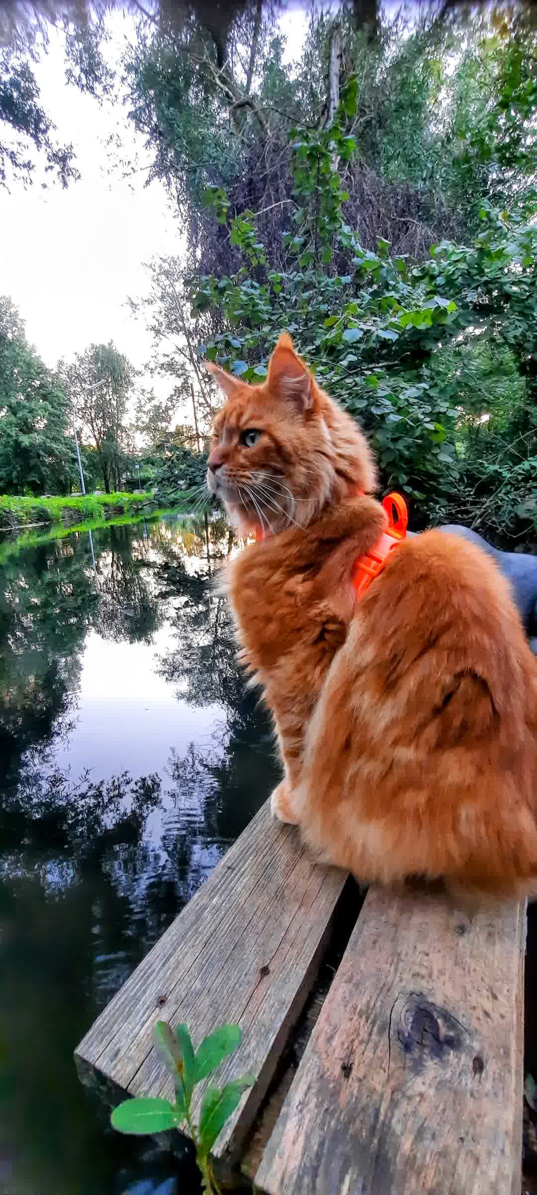 Kajak Foto