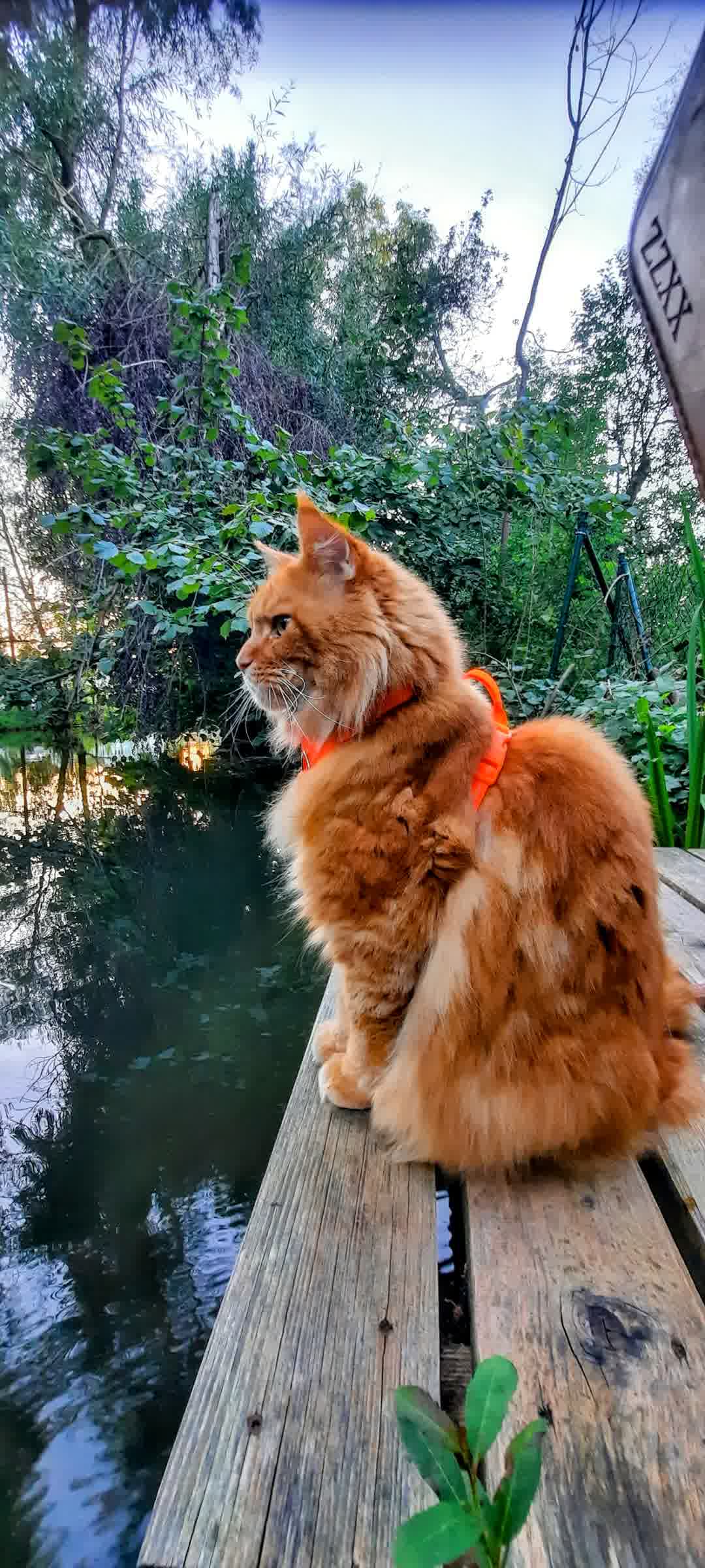 Kajak Foto