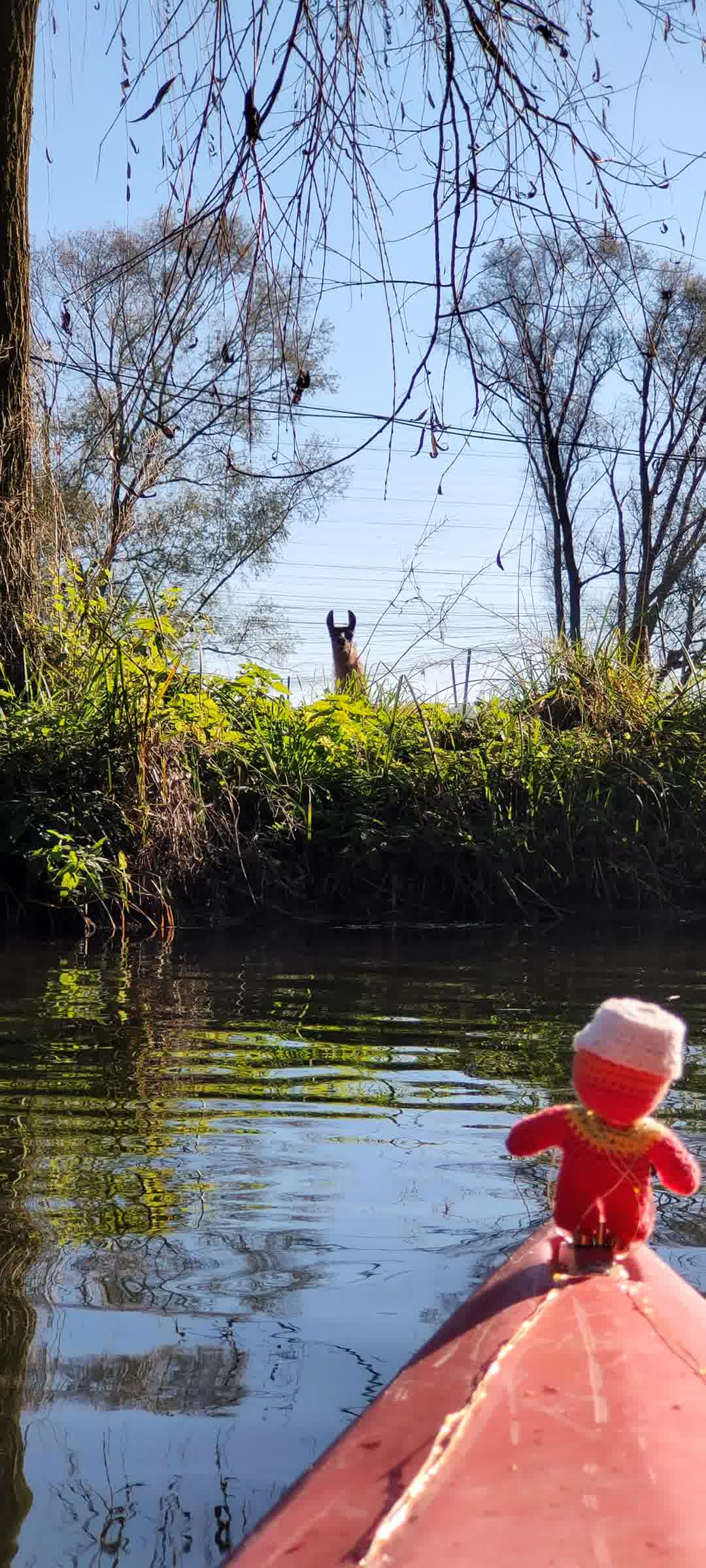 Kajak Foto