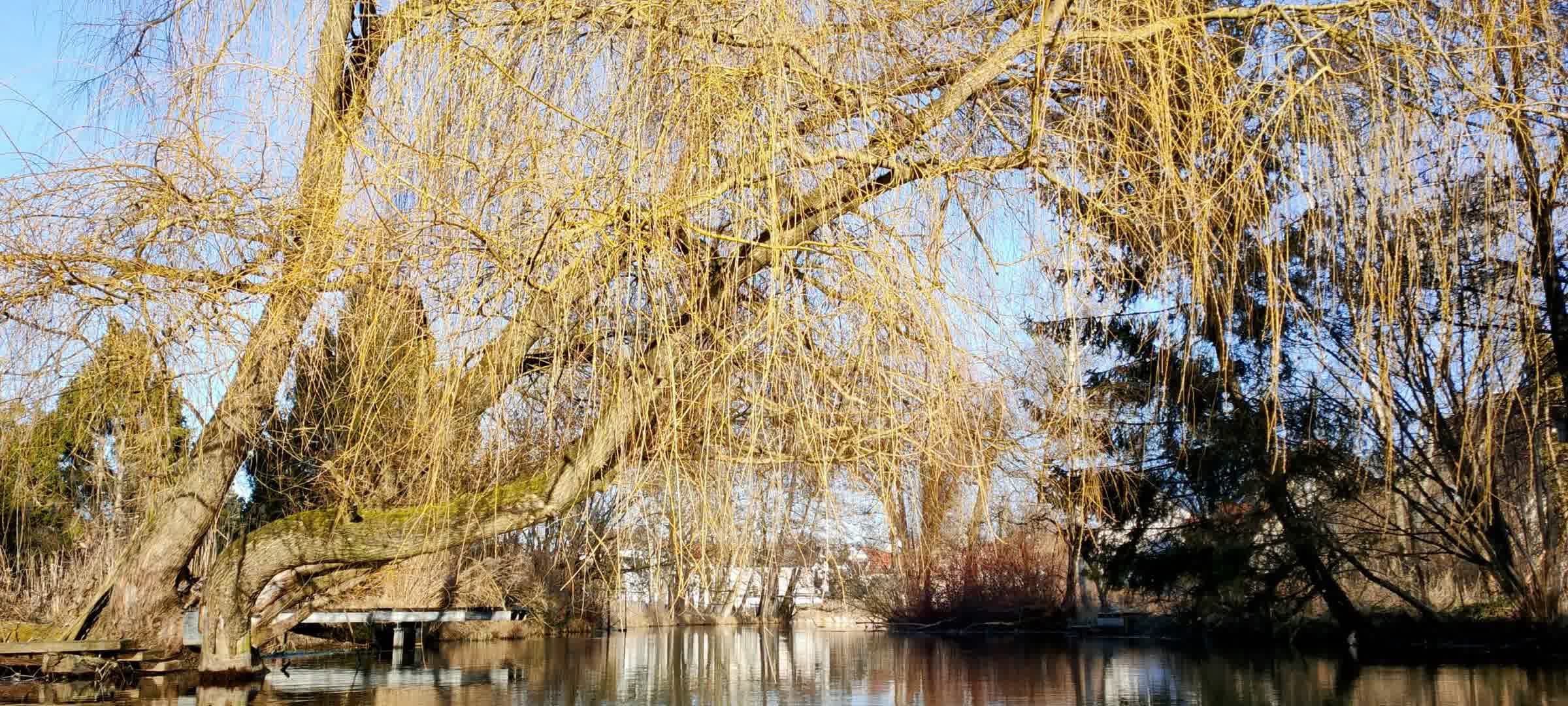 Kajak Foto
