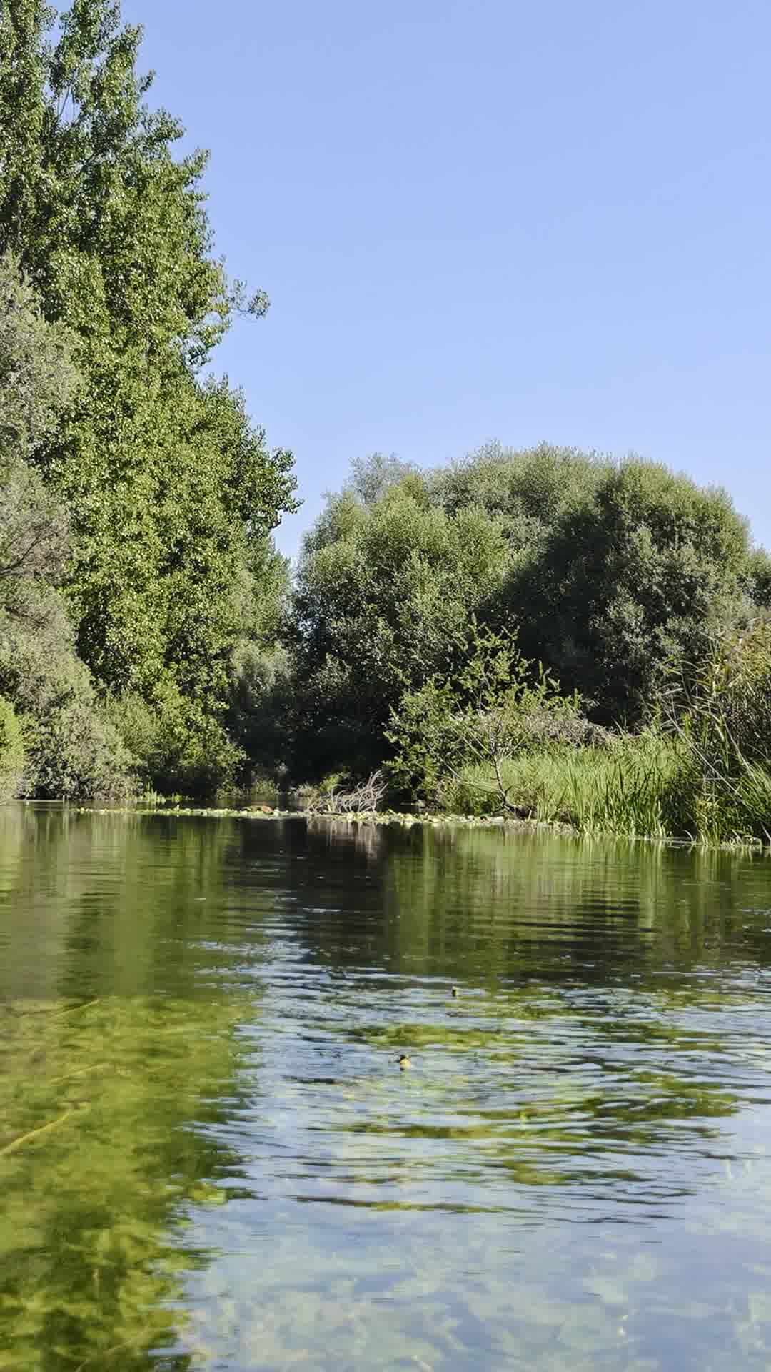 Kajak Foto