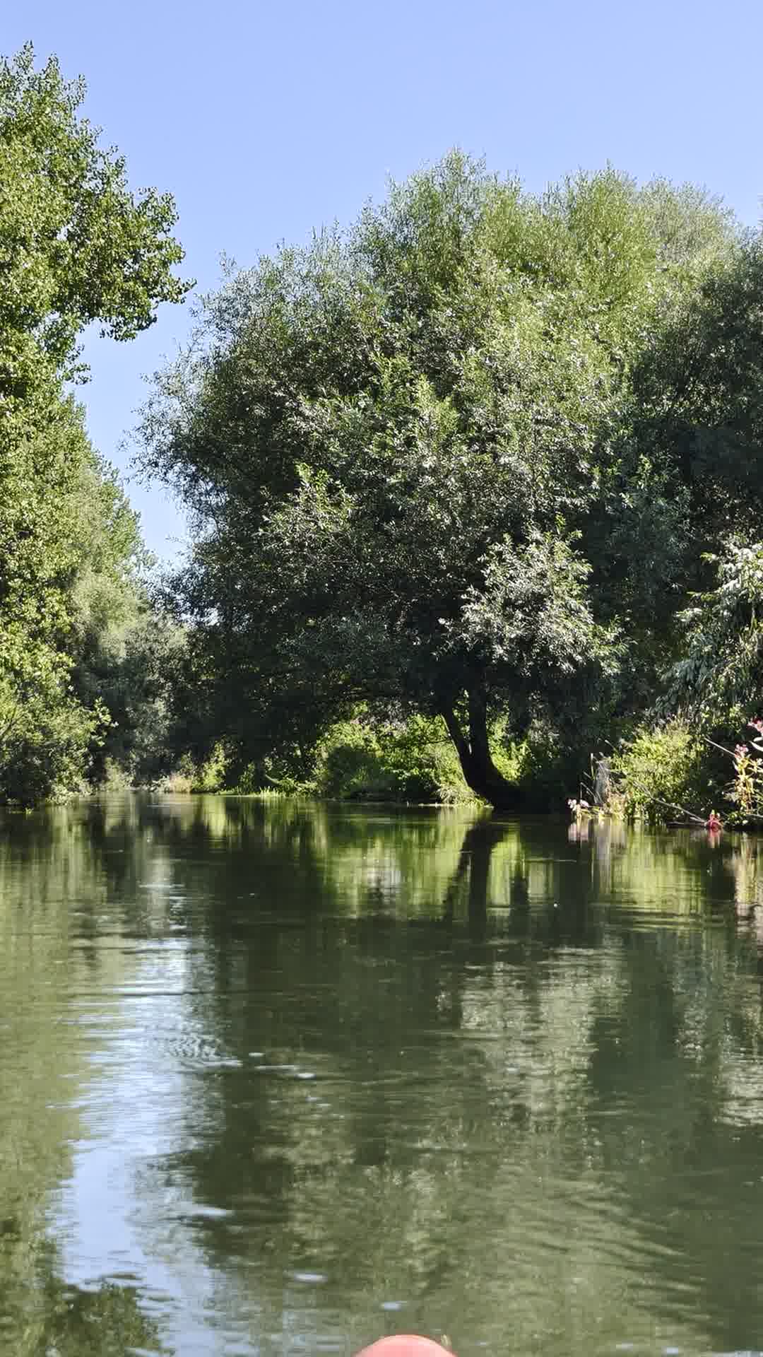 Kajak Foto