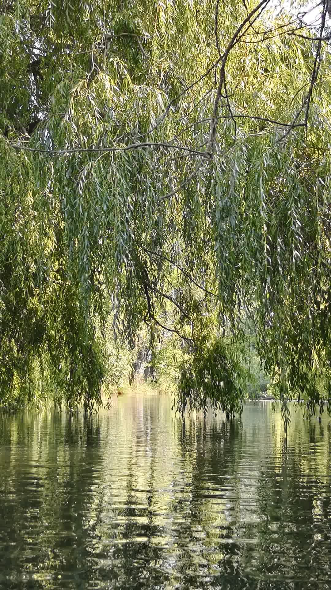 Kajak Foto
